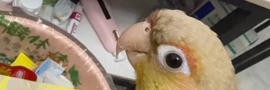 Ryanaqqt's profile banner image