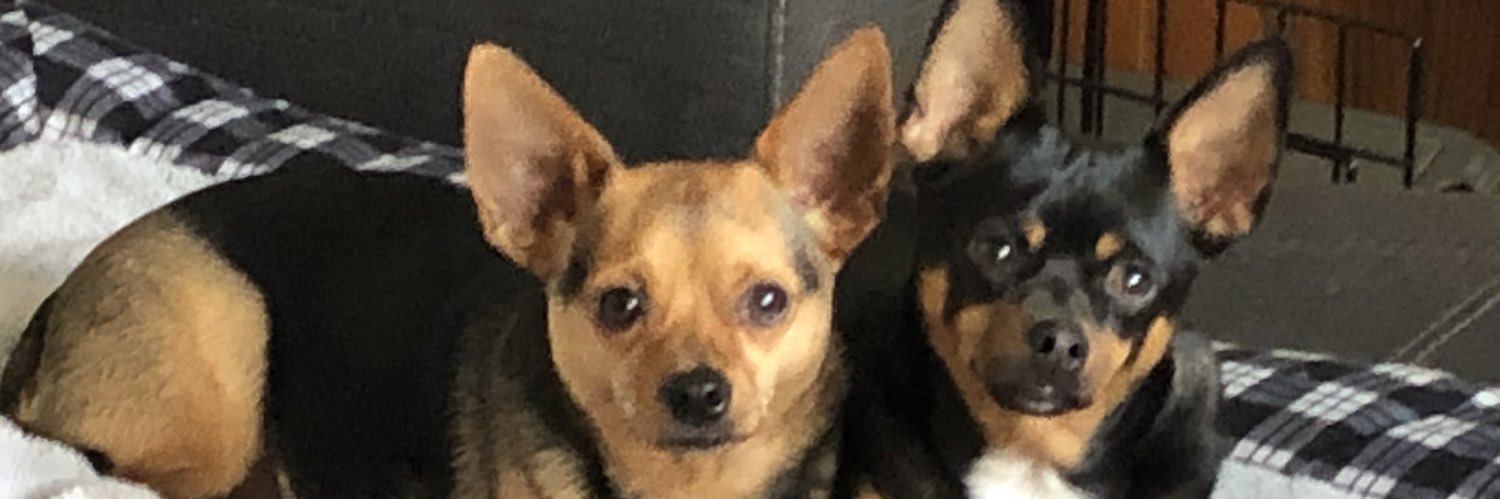 summerbeth10's profile banner image