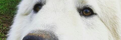 Be_Amarante's profile banner image