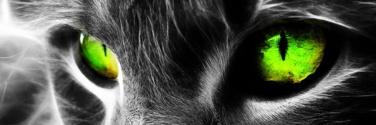 FerhanK's profile banner image