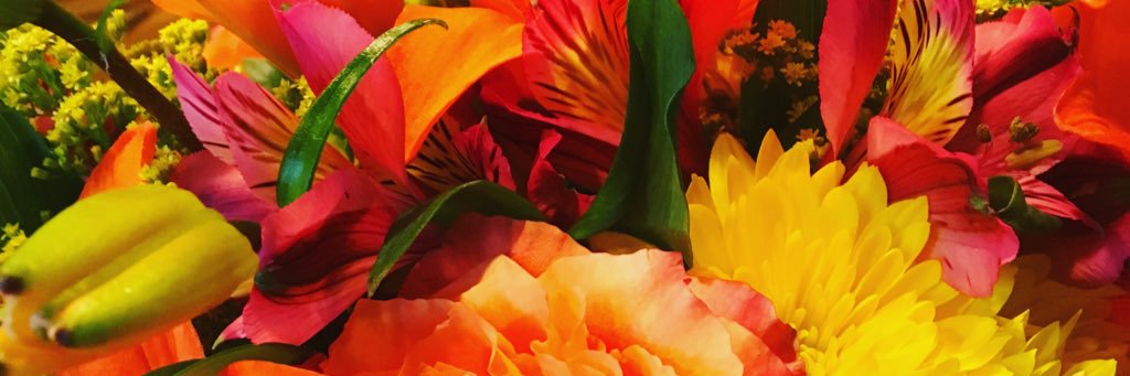 JoetteF's profile banner image