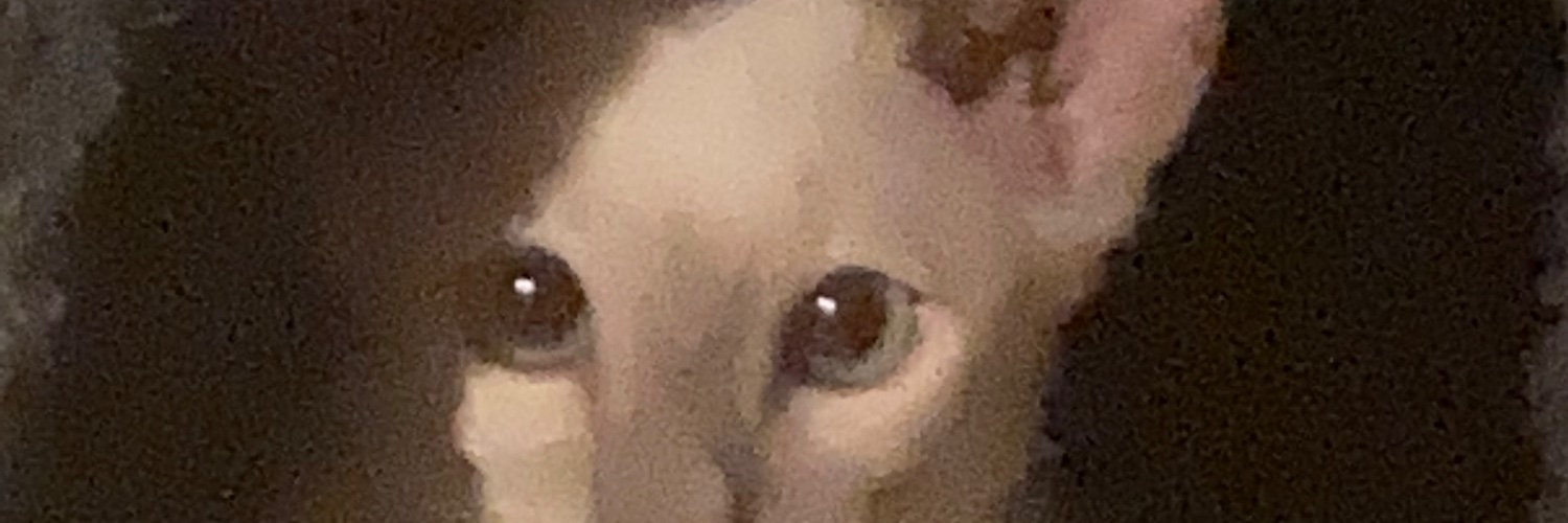 gothglitz's profile banner image