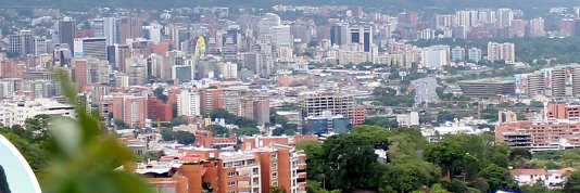 luisyor banner
