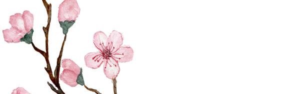 RITA_ANDREA's profile banner image