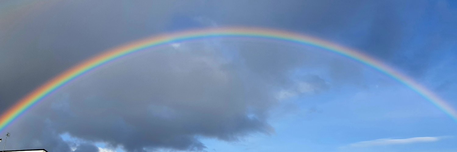 Triona Doherty banner