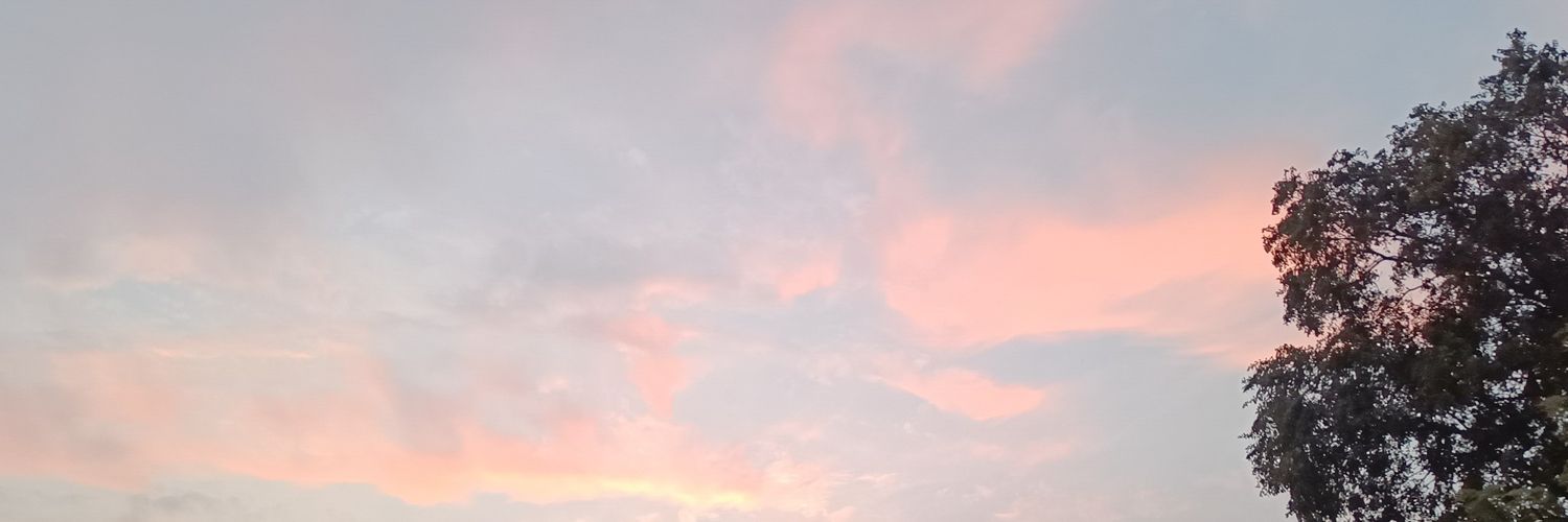 divyacandade's profile banner image