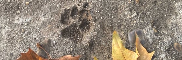 RaquelMartos Profile Banner