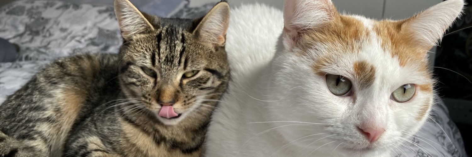 dyzzylyzzy's profile banner image