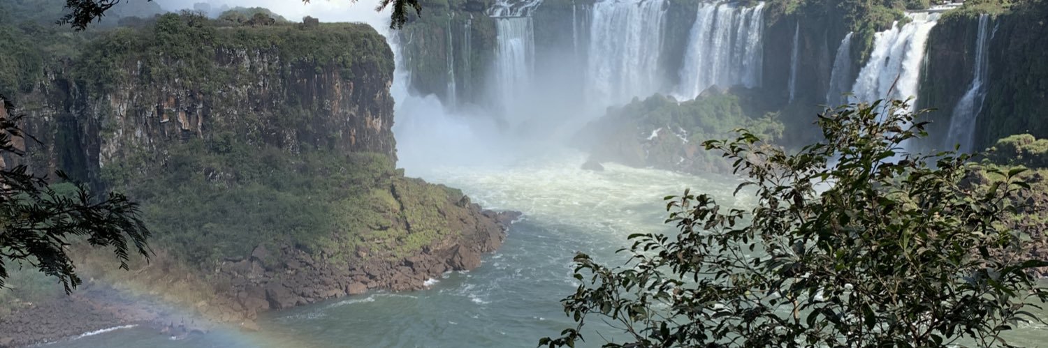 delfimujicaa's profile banner image