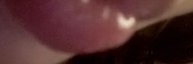 Avav5mt's profile banner image