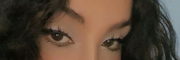 dhesminha's profile banner image