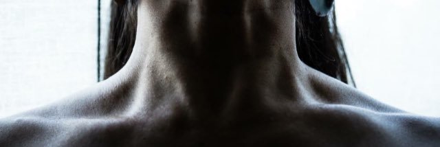 SalamandraXS's profile banner image