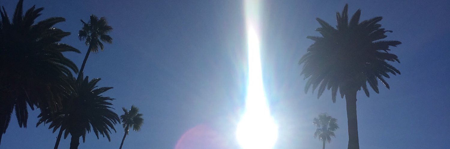 Alice Johnston banner