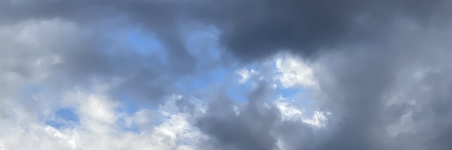 Iñaki Gorostiza banner