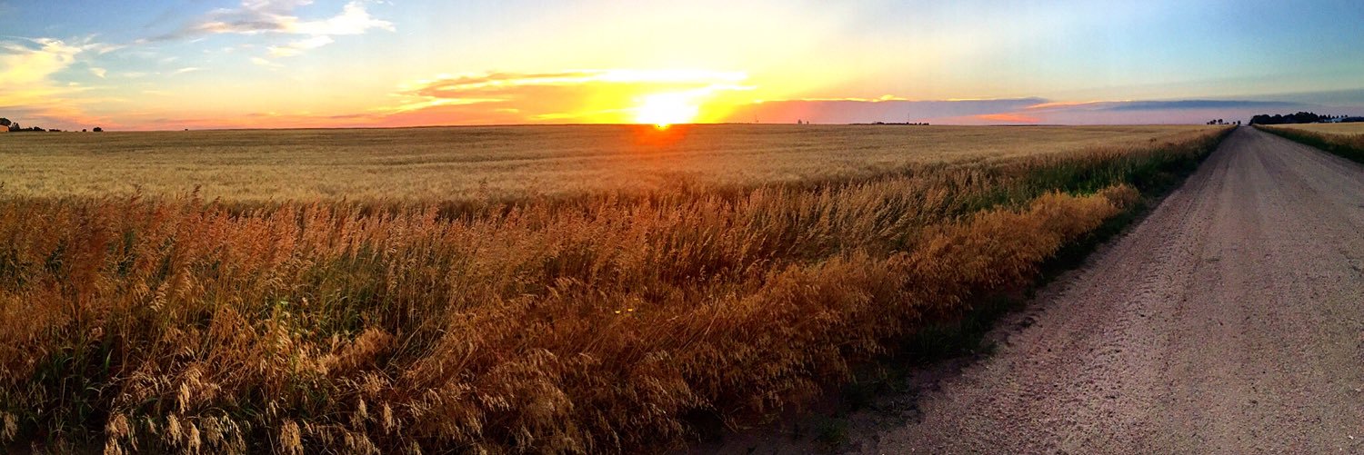 merschmidty's profile banner image