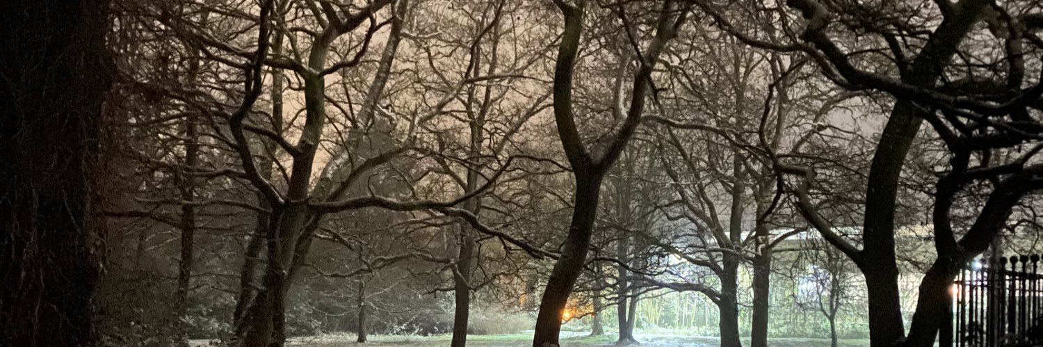 Whore Biscuit 🏳️‍🌈✡️🌱🇪🇺 banner