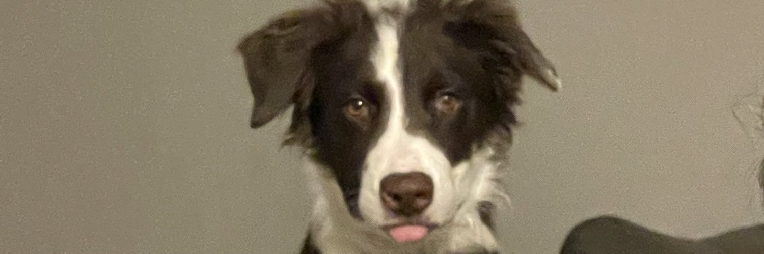 PlNAPLE's profile banner image