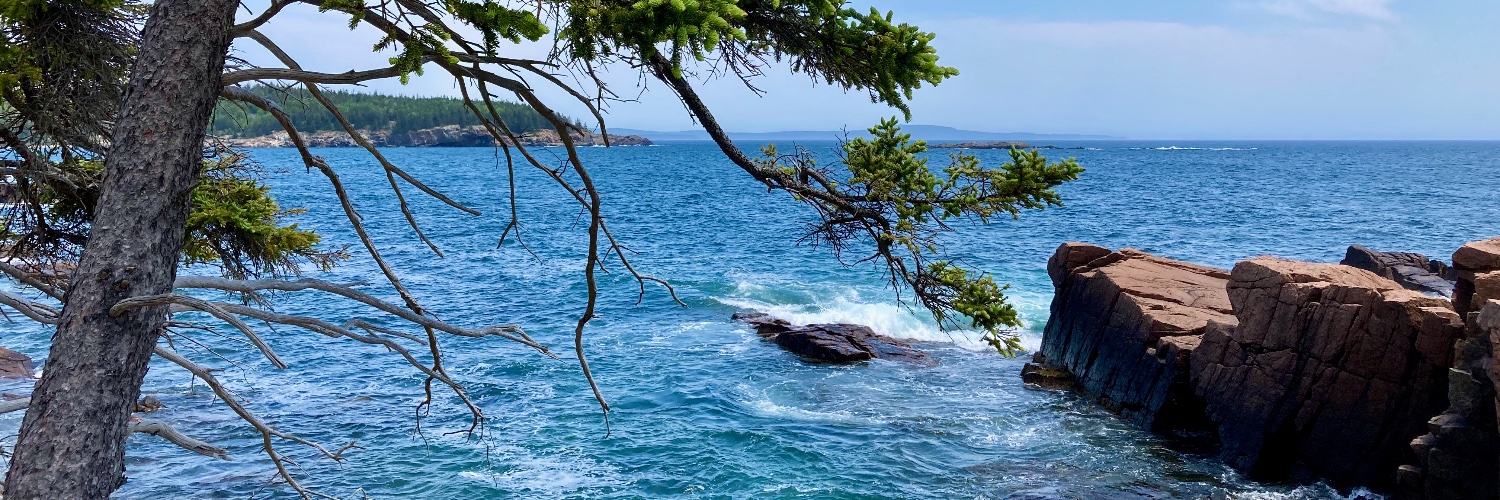 Bryan D. James, PhD (he/him) banner