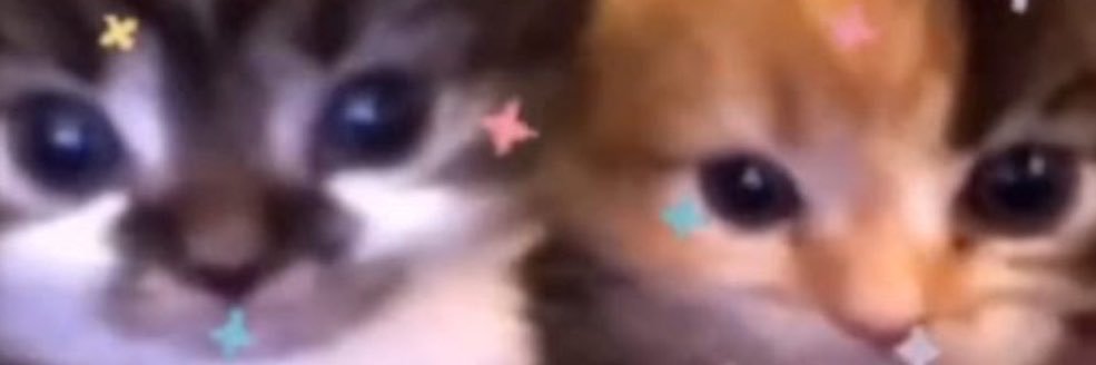 Onurmakass's profile banner image