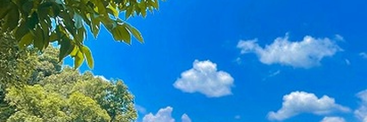 EverlyAgneks's profile banner image