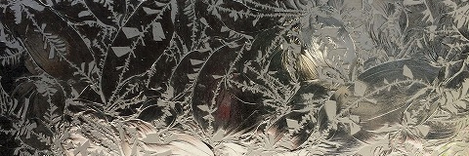 KatherineRqlgh's profile banner image