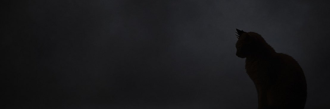 meroxmrcat's profile banner image