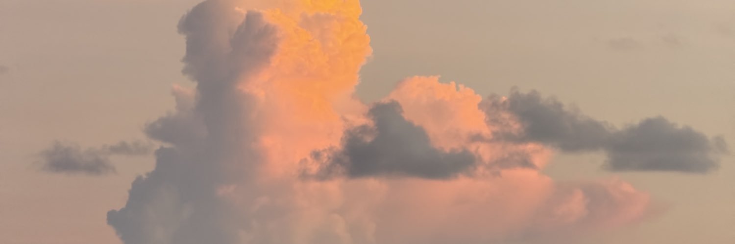 ozdenishere's profile banner image