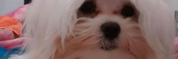 diegolepra10's profile banner image
