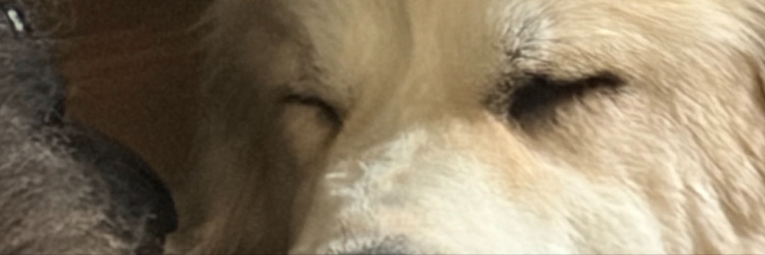 CadeCadejohnih9's profile banner image