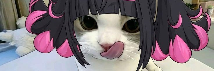 THEDELULUL2's profile banner image