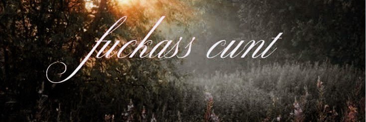 veyketsu's profile banner image