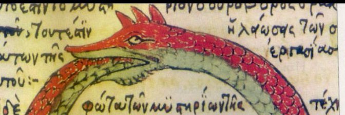Tadlihflore's profile banner image