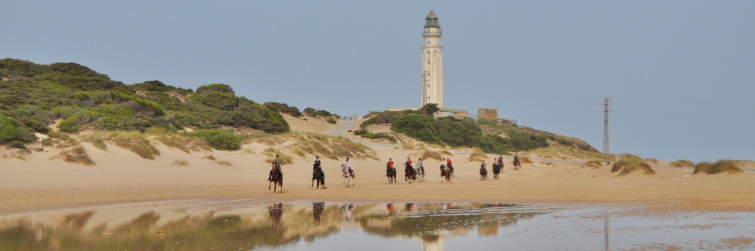 miniMaggi 😷🐝🏴󠁧󠁢󠁥󠁮󠁧󠁿🏴󠁧󠁢󠁷󠁬󠁳󠁿🇺🇦 banner