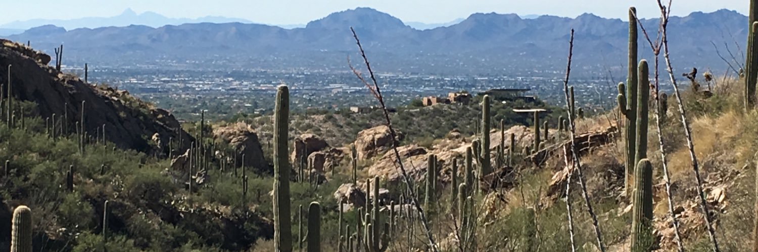 dicksonl's profile banner image