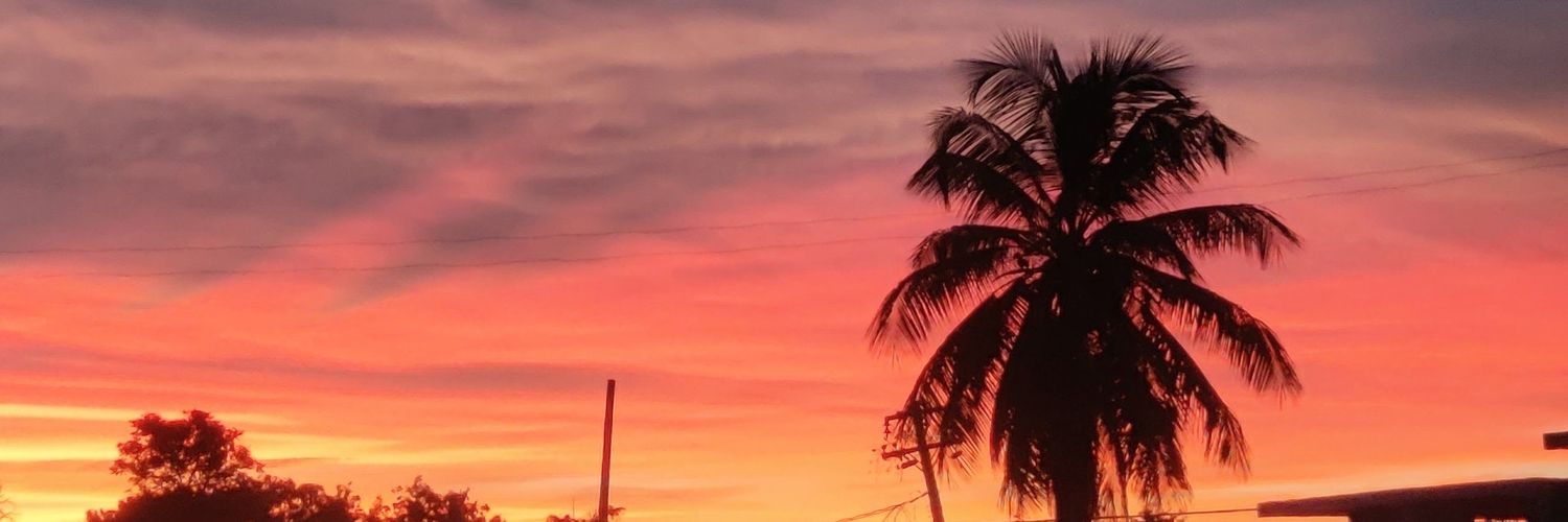 TetoPR's profile banner image