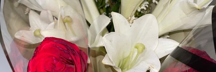 jea_ant's profile banner image