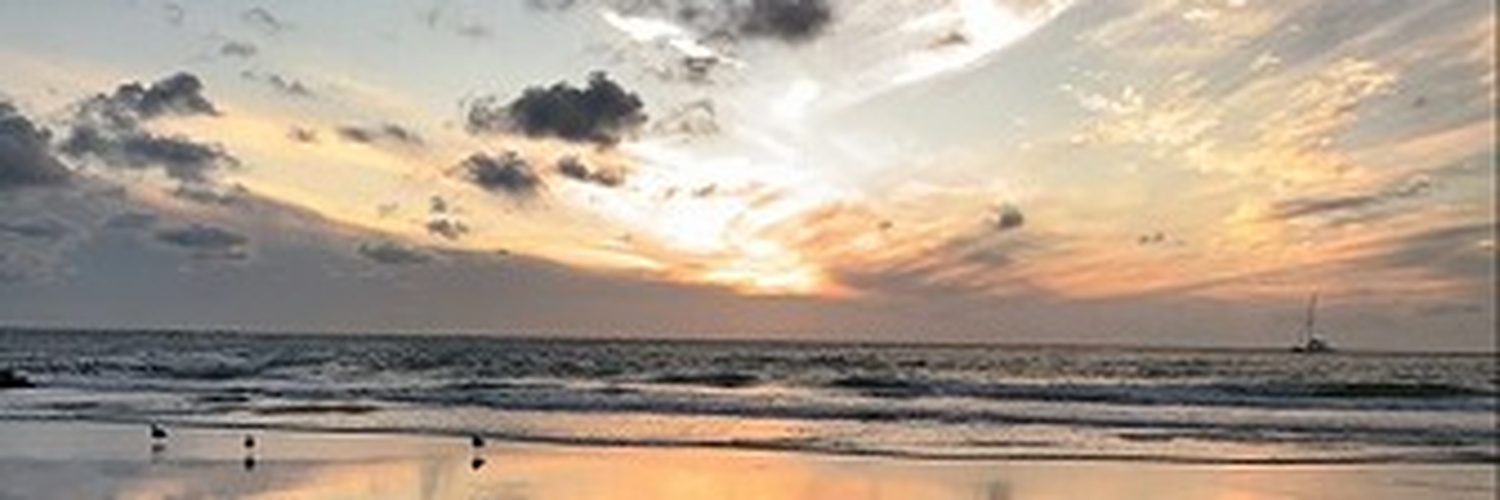 KatherineRyosh's profile banner image