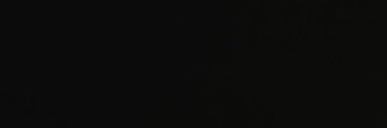 ruyxv1's profile banner image