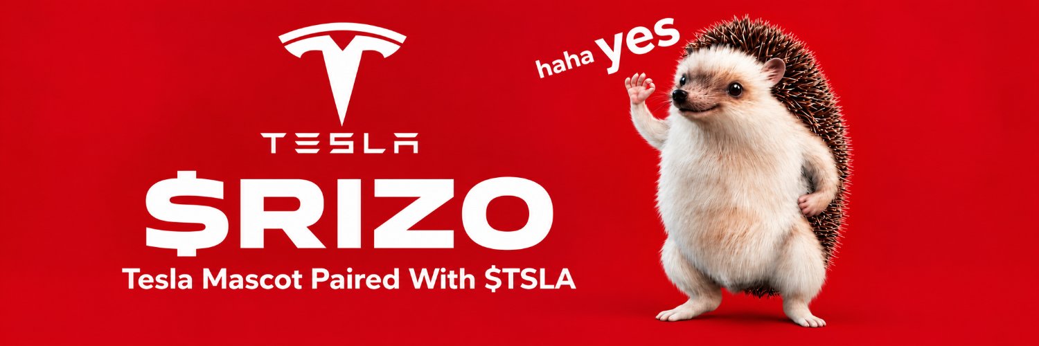 RizoTeslaMeme's profile banner image