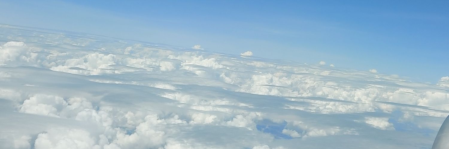 André Borges banner