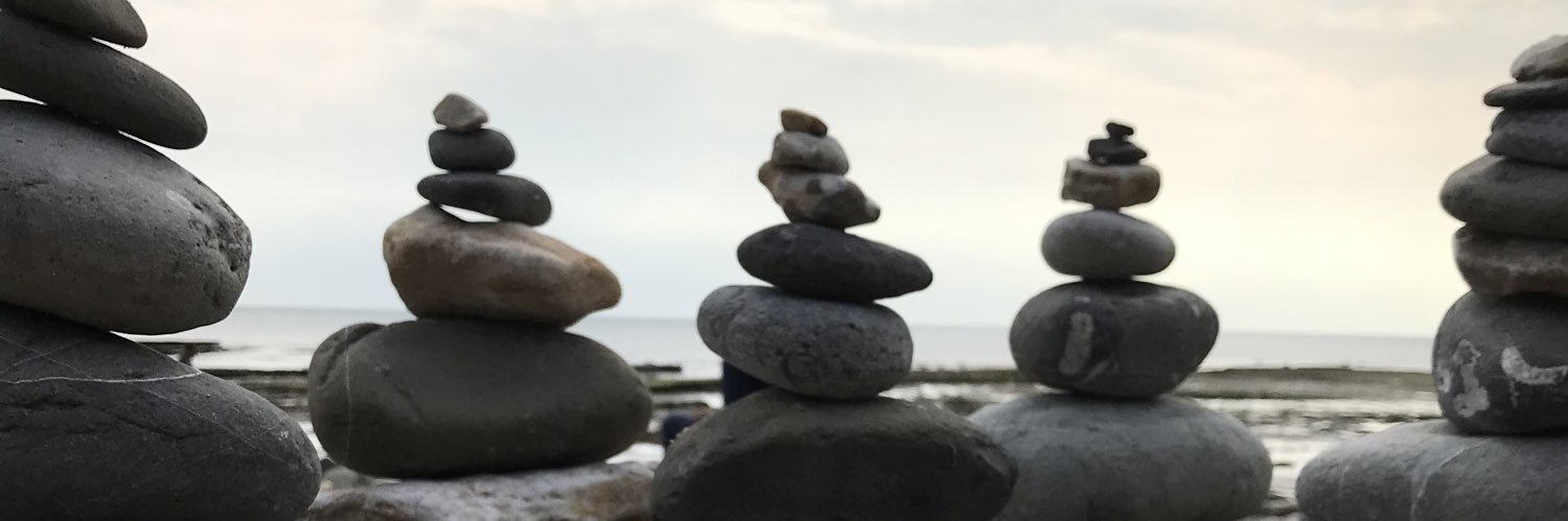 Nerys Watts 💙 banner