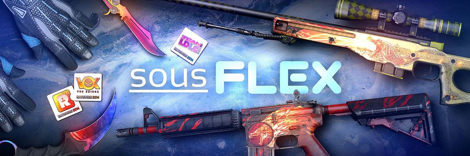 sousFlex's profile banner image