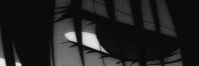 ollierorym's profile banner image