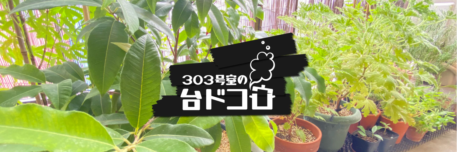 daisuke183cm's profile banner image