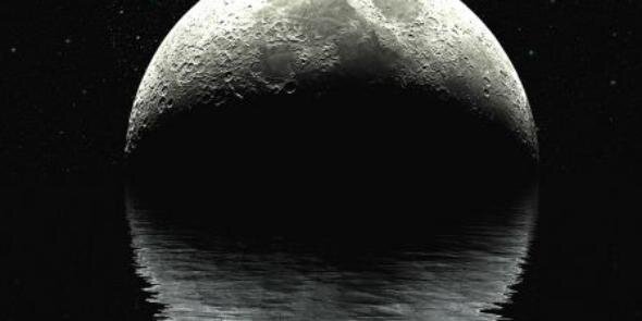 MoonlightChase's profile banner image