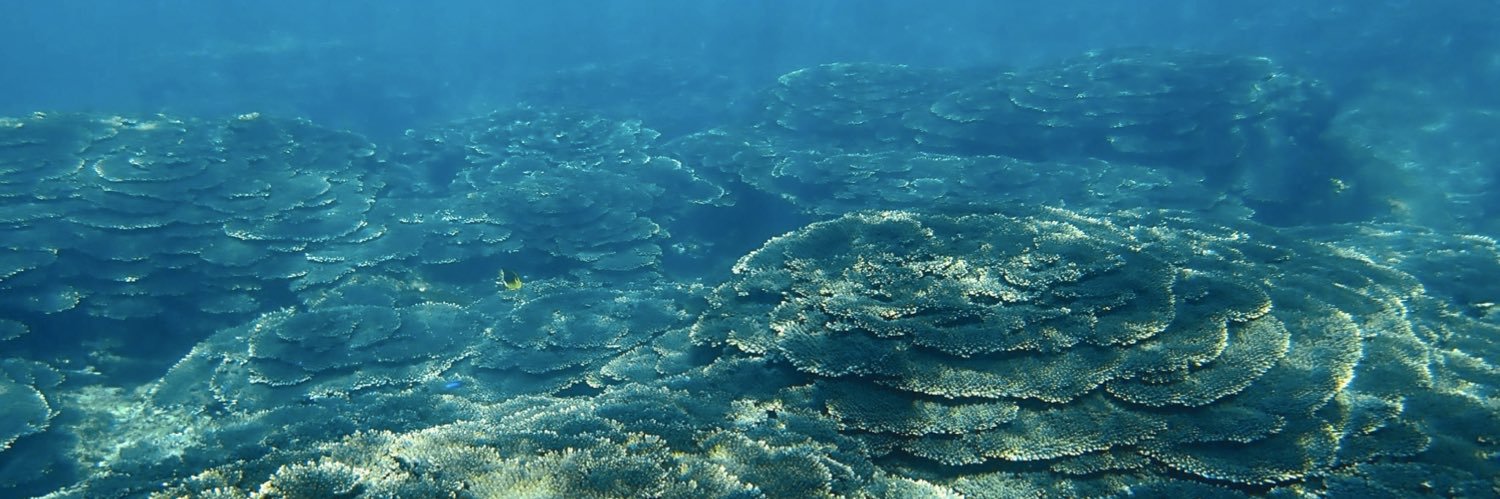 串本海中公園センター banner