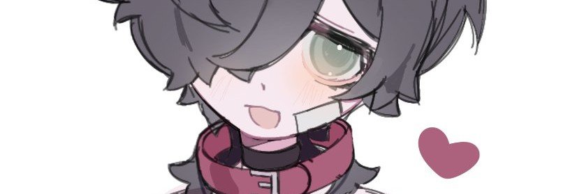 ryaroki's profile banner image