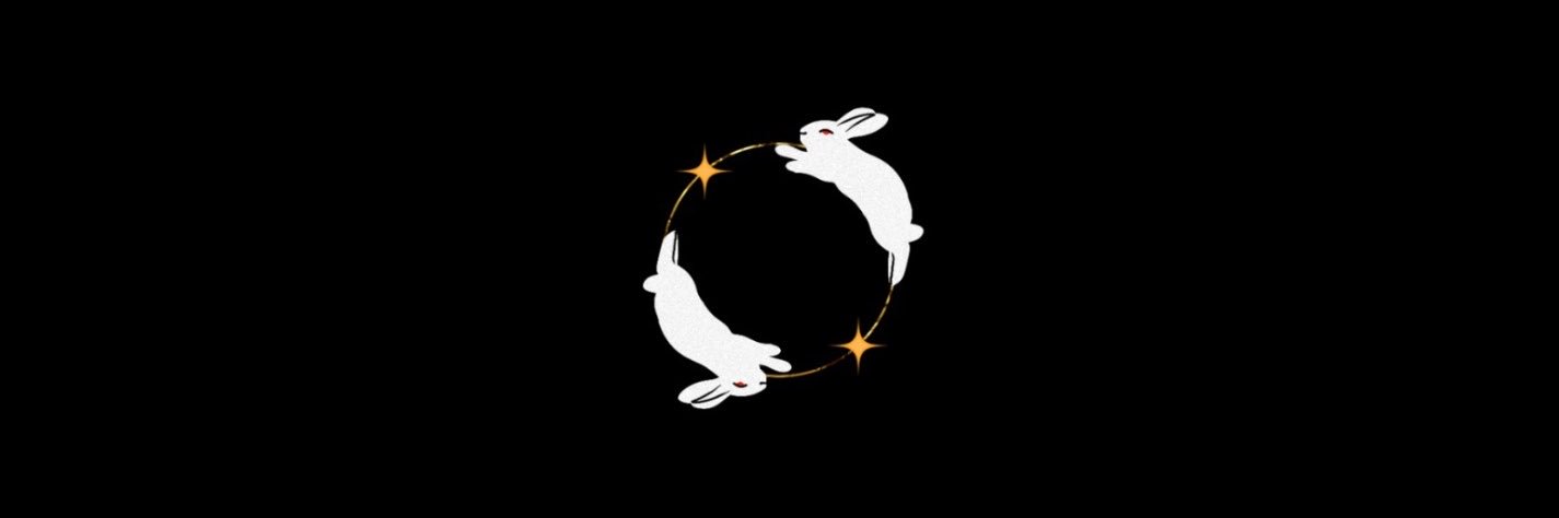 lilpalerabbit's profile banner image