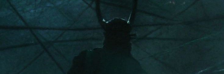 lokiispup's profile banner image