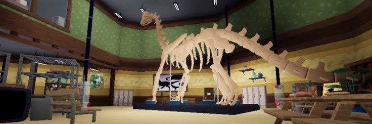ShelbyTheShell's profile banner image